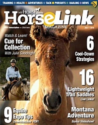 2007 July HorseLink