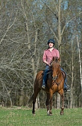 Tennessee Walker on the Trail