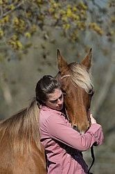 Tennessee Walker With People