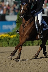 Alltech WEG Show Jumping Legs and Joints in Action