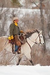Qarter Horse Ridden in Winter