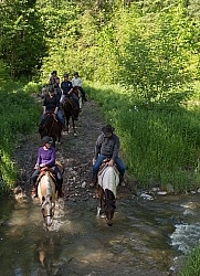 River Crossing at Horse Country Campground Lantz Mclaren Clinic
