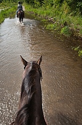 Horse Country Campground Water Crossing