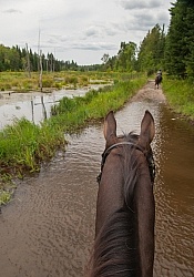 Horse Country Campground Water Crossing