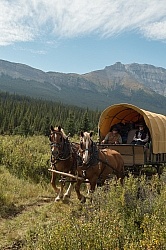 The Chuck Wagon, Wild Deuce Women's Retreat
