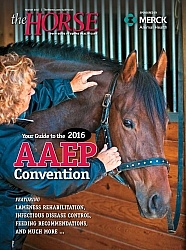 The Horse AAEP Wrap Up Cover