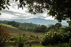 The View from Hacienda La Alegria