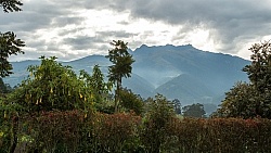 The View from Hacienda La Alegria