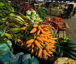 Local Market in Aloag Ecuador
