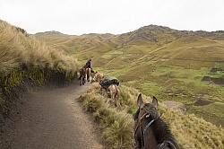 Riding in the high Andes