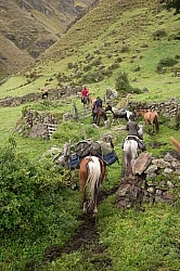 Leaving  Angels farm in the high Andes,Ecuador