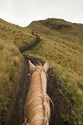 The Trail on the Ride out of the High Andes