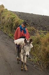 An Ecuadorian passerby