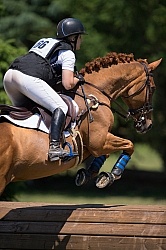 Equine Athlete, Eventing Lower Level Leg Protection Eventing