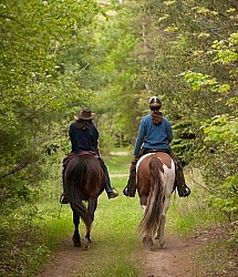 Trail Riding in the Ganny, Anne vavra Trail Riding Spring Summer