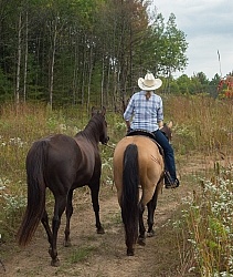 Leading a Horse on the Trail