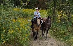 Leading a Horse on the Trail