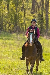 Rocky Mountain Horse on the Trail,Bonnie View Farms 