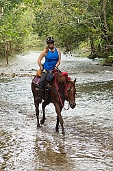 Spring Summer Trail Riding, Belize