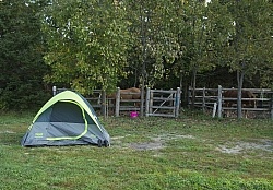 Basic Horse Camping