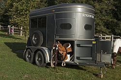 Horse Trailer at Horse Country Campground