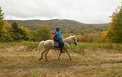 Fall colors  with The Vermont Icelandic Horse Farm