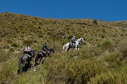 Mountin View Ride in Auriri Conservation Area Riding in Ahuriri Conservations Area with Wild Women Expeditions and Adventure Horse Trekking New Zealand