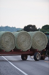 Round Bales of Hay