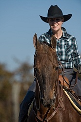 American Saddlebred Portrait