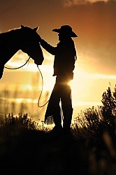 Silhouette Horse and Rider