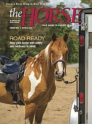 The Horse Cover August 2021