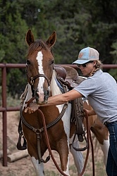Working with Rescue Horse Enchantment Equitreks