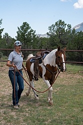 Working with Rescue Horse Enchantment Equitreks