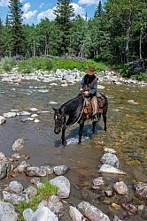 Chad on Stretch Crossing River
