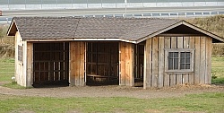 Run In Shed