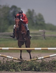 Denny Emerson and King Oscar Bromont 1994