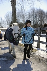 Child Leading Pony