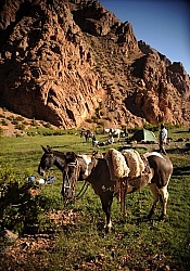 Camping in the Andes