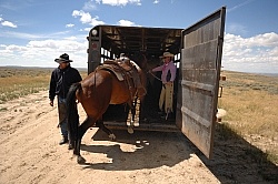 Trailering the horses after the Ride to the Wild horses with Blue Sky Sage