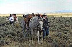The Ride To the Wild horses with Blue Sky Sage