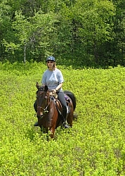 Trail Riding on a Standardbred