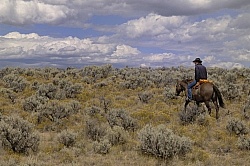 Riding in Wyoming with blue Sky Sage Adventures