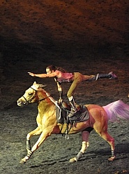 Cavalias Odysseo Quarter Horse Trick Riding