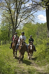Trail Riding group