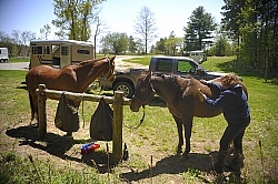 Brushing Off after Ride
