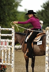 The Rope Gate in Trail Class at Quarter Horse Show, Palgrave 2012