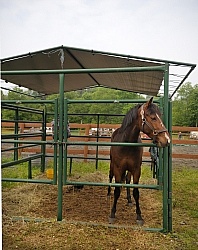 Lefty in His Covered Stall at Pure Country Campgrounds Portable Stalls