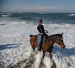 Riding on the Beach at Ricochet Ridge Ranch