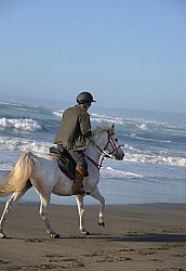Riding on the beach at Ricochet Ridge Ranch Riding on the Beach at Ricochet Ridge Ranch