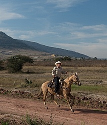Galloping on the Trail